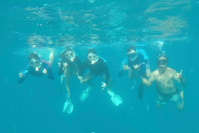 Waikiki small group turtle snorkeling & sailing - Dolphins, fish, and other possible wildlife