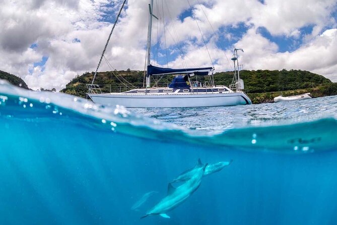 Waikiki small group turtle snorkeling & sailing - Is $99 a fair price?