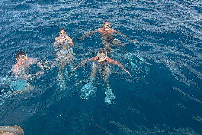 Waikiki small group turtle snorkeling & sailing - How cancellation and weather affect your plans