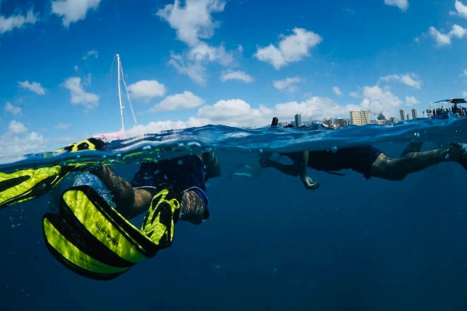 Waikiki Snorkel Tour - What two hours actually gives you