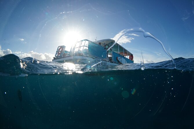 Waikiki Snorkel Tour - Weather, cancellations, and simple planning tips