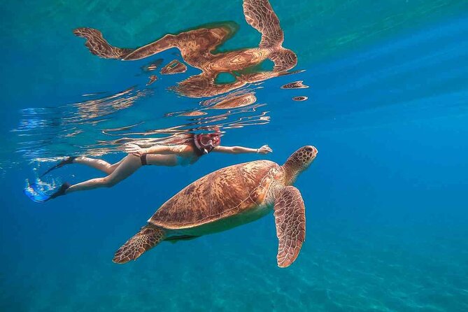 Waikiki Snorkeling Adventures with E Sea Diver! - Key points to know before booking