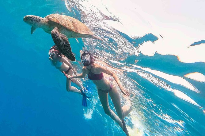 Waikiki Snorkeling Adventures with E Sea Diver! - What this Waikiki boat trip is really about