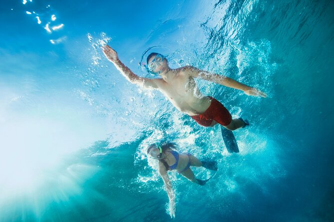 Waikiki Snorkeling Adventures with E Sea Diver! - Food, drinks, and comfort onboard