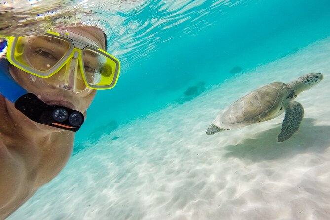 Waikiki Snorkeling Adventures with E Sea Diver! - Price, transport, and the real value of $69