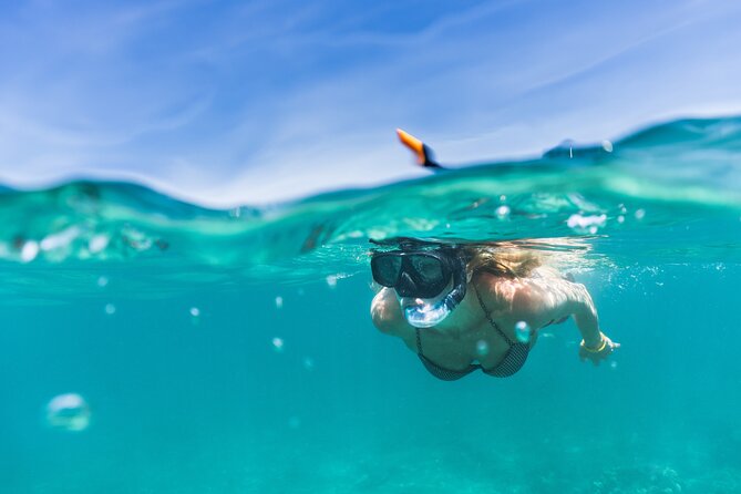Waikiki Snorkeling Adventures with E Sea Diver! - Who should book this catamaran outing
