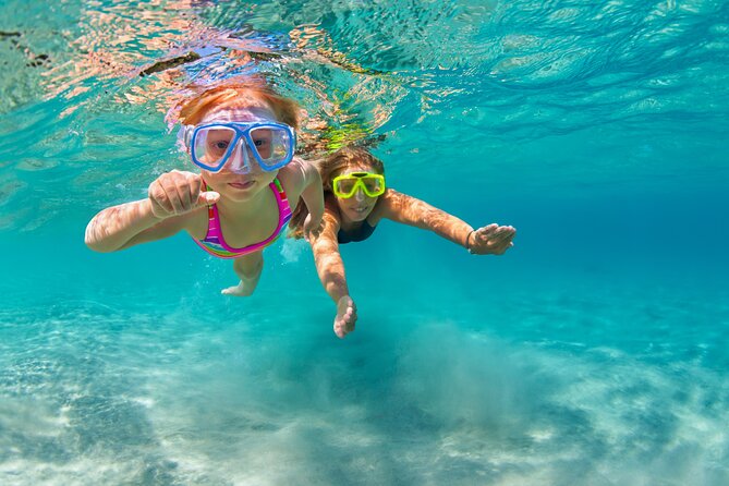 Waikiki Snorkeling Adventures with E Sea Diver! - Should you book E Sea Diver?