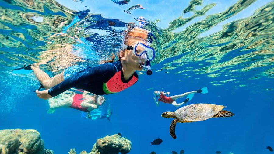 Waikiki: Snorkeling & Ocean Playground Experience - From Ala Moana Harbor to the open water