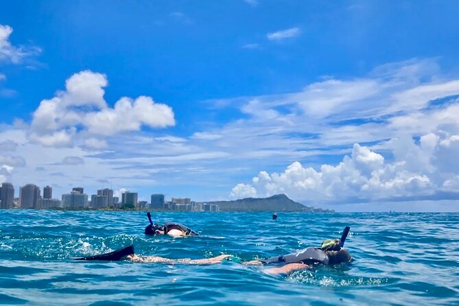 Waikiki Snorkeling & Ocean Waterpark Adventure from Oahu - Key things to know before you book