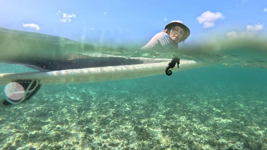 Waikiki: Surf Lessons Easy 60 min classes no crowds! - Surfing Kaisers, Rockpiles, and Bowls