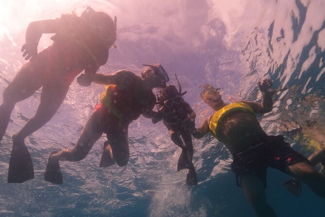 Waikiki: Turtle Canyon Snorkel - A family-friendly trip with real safety limits