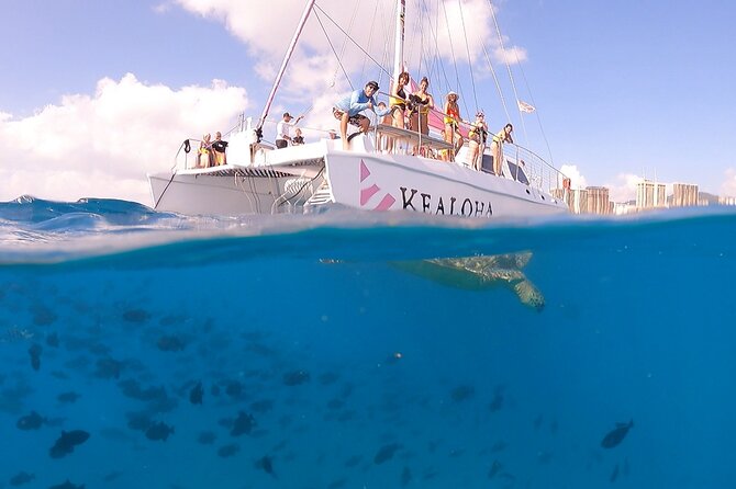 Waikiki: Turtle Canyon Snorkel - Who should book this Turtle Canyon trip?