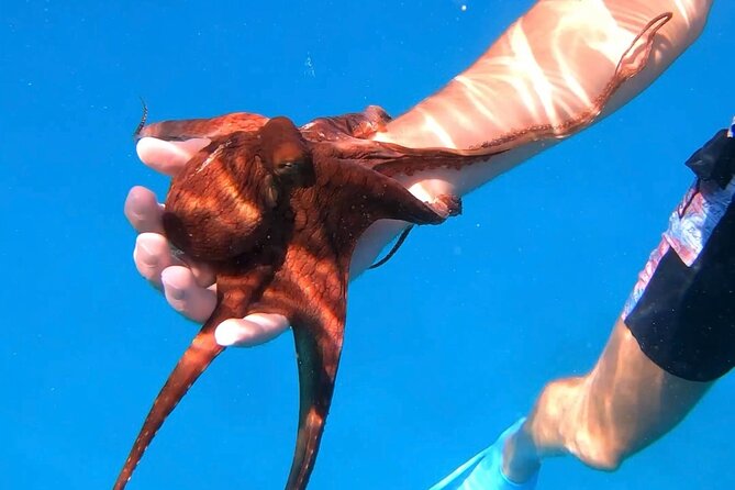 Waikiki Turtle Canyon Snorkel: Turtles Guaranteed - Safety support for swimmers and nervous beginners