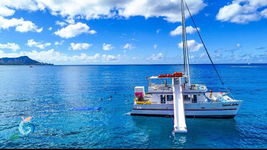 Waikiki Turtle Snorkel Adventure - Key Points Before You Book