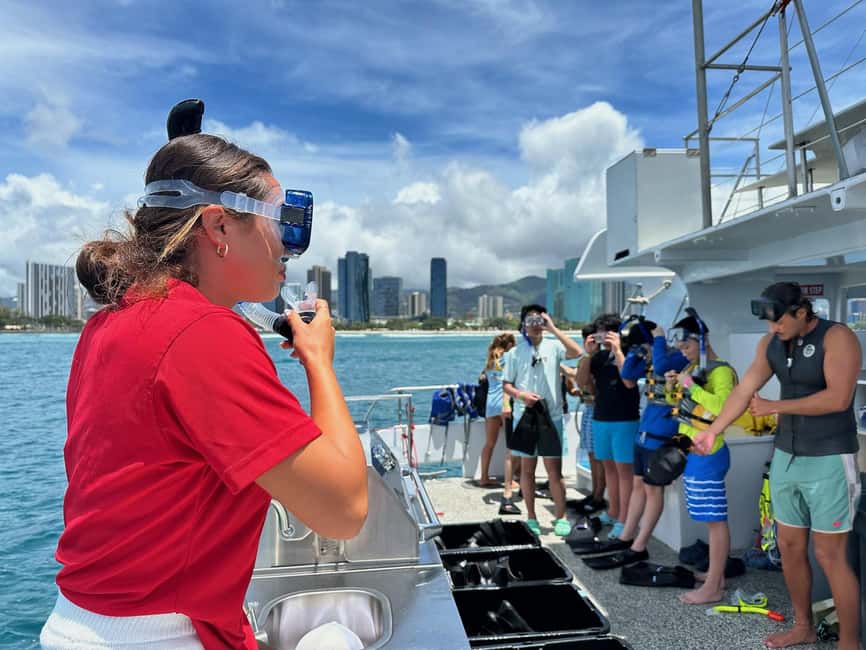 Waikiki Turtle Snorkel Adventure - A Waikiki Boat Ride That Is More Than Transportation