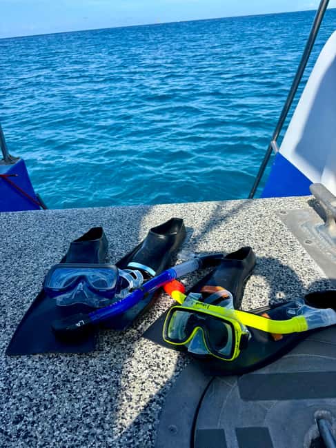 Waikiki Turtle Snorkel Adventure - Who Will Like This Waikiki Snorkel Trip