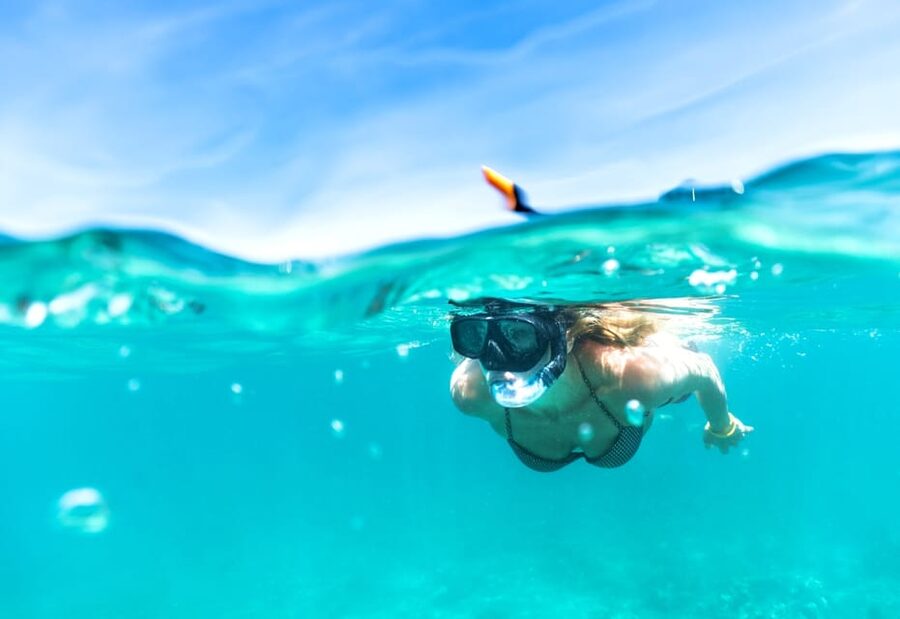 Waikiki: Turtle Snorkeling Cruise with 20ft Jumping Platform - Key points to know before you book