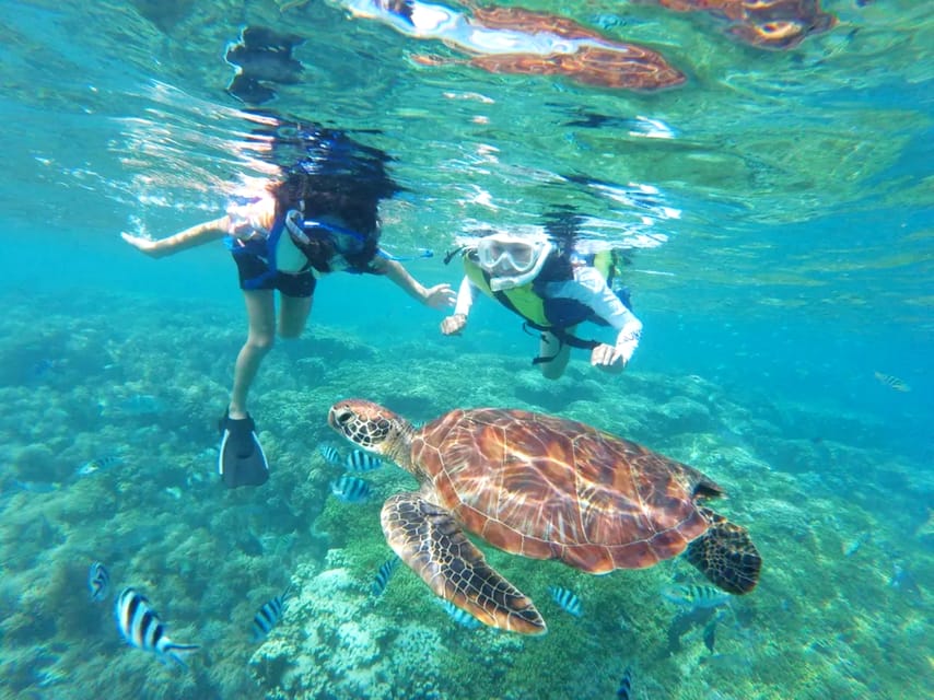 Waikiki: Turtle Snorkeling Cruise with 20ft Jumping Platform - Leaving Waikiki for the open Pacific