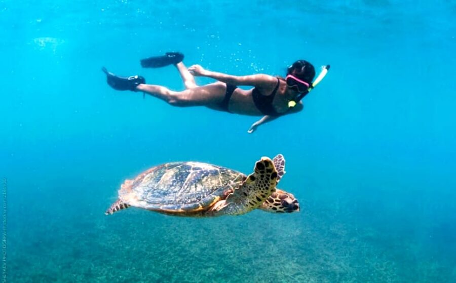 Waikiki: Turtle Snorkeling Cruise with 20ft Jumping Platform - What the three-hour schedule feels like