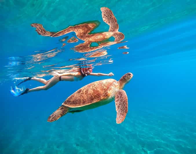 Waikiki: Turtle Snorkeling Cruise with 20ft Jumping Platform - The high platform is more than a small extra