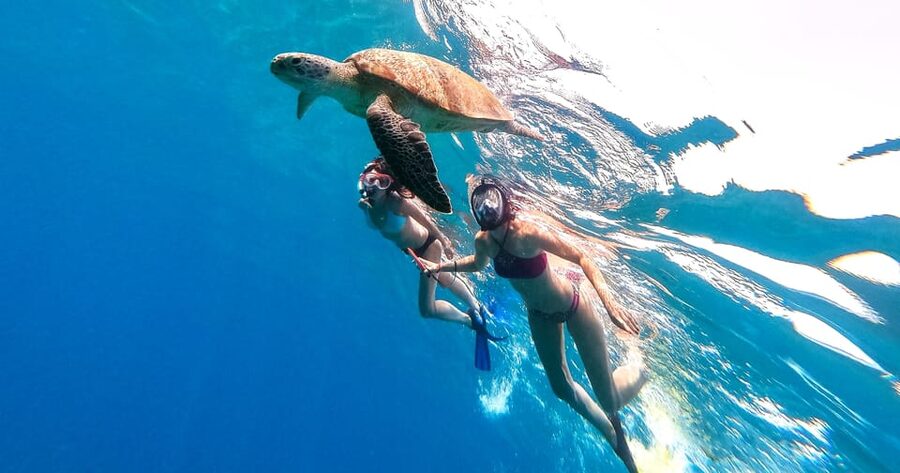 Waikiki: Turtle Snorkeling Cruise with 20ft Jumping Platform - The crew and the tone of the trip