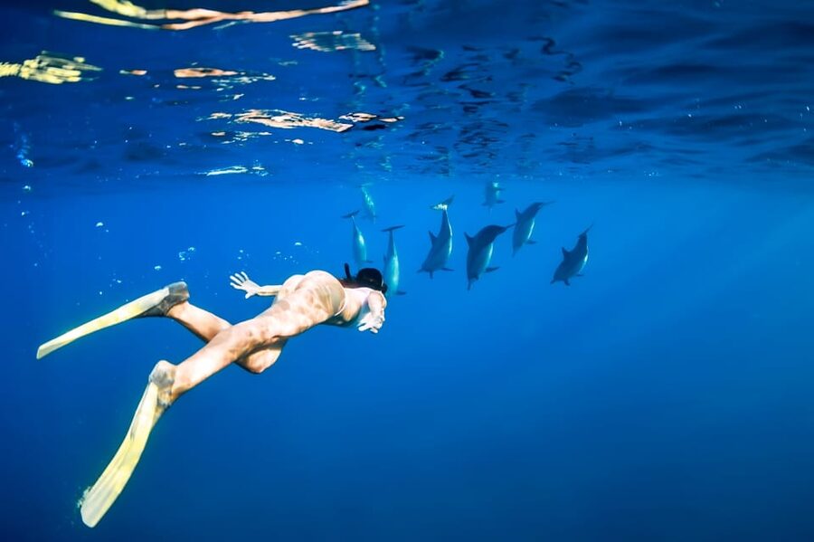 Waikiki: Turtle Snorkeling Cruise with 20ft Jumping Platform - Is $89 a fair price?