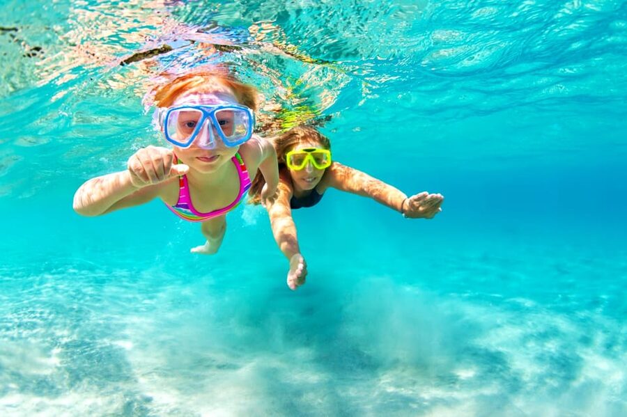 Waikiki: Turtle Snorkeling Cruise with 20ft Jumping Platform - A practical plan for your departure
