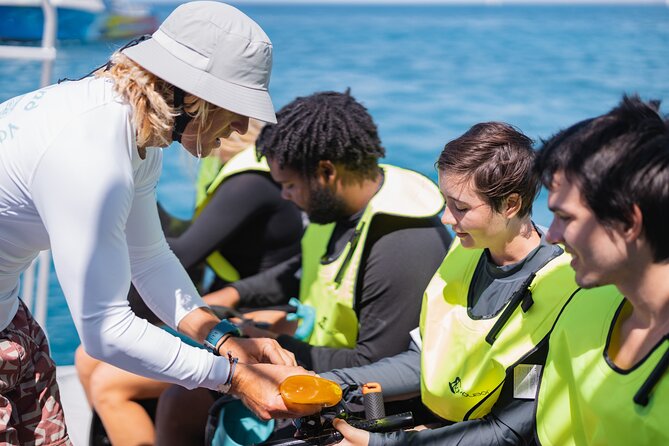 Waikiki Turtle Snorkeling Tour with Complimentary Trolley Ride - The crew is the strongest part of the service