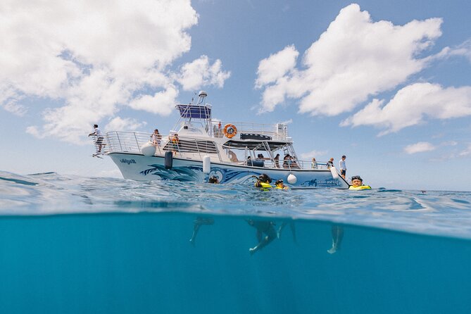 Waikiki Turtle Snorkeling Tour with Complimentary Trolley Ride - What the snorkeling session feels like