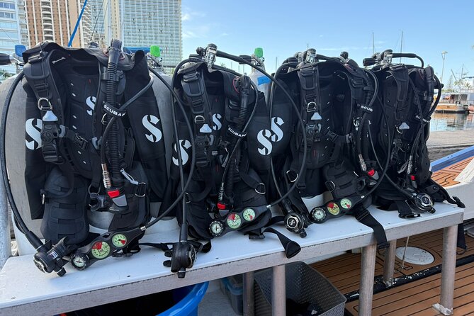 Waikiki Two Tank Guided Scuba Diving Adventure: Certified Diver - Why six divers makes a real difference