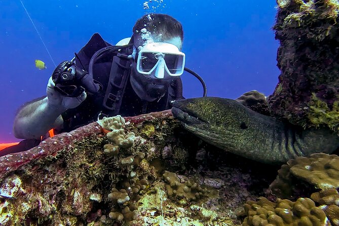 Waikiki Two Tank Guided Scuba Diving Adventure: Certified Diver - Certification and fitness requirements