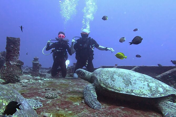 Waikiki Two Tank Guided Scuba Diving Adventure: Certified Diver - Meeting at Ala Wai Small Boat Harbor