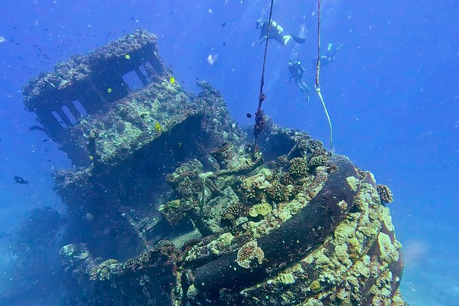 Waikiki Two Tank Guided Scuba Diving Adventure: Certified Diver - Weather, cancellations, and planning ahead
