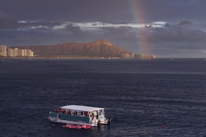 Waikiki Whale Watching Cruise - Key Points to Know Before You Book