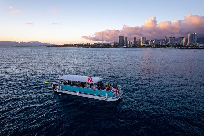 Waikiki Whale Watching Cruise - Who Will Get the Most From This Cruise?