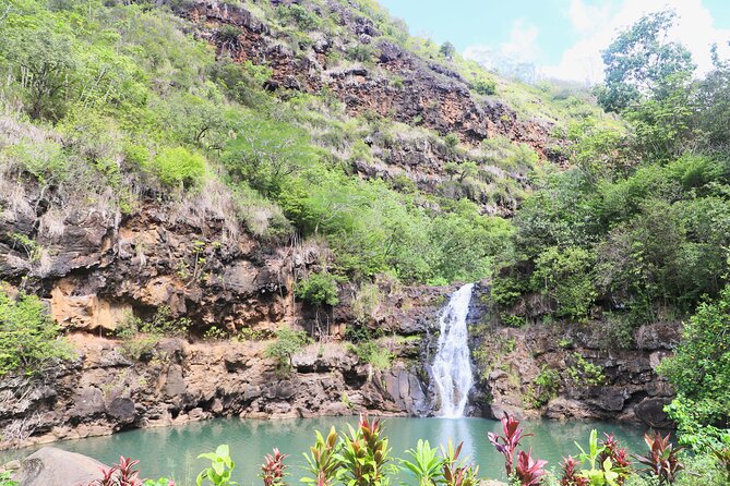 Waimea Valley Waterfall Swim & Dole Plantation Tour with Lunch - Transportation from Waikiki and the early start