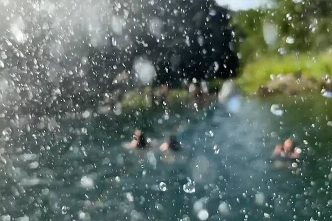 Waimea Valley Waterfall Swim & Dole Plantation Tour with Lunch - Green World Coffee Farm gives the morning a good start