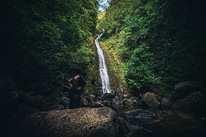 Waterfall Hike in Hawai'i Rainforest Trail - What you receive, and what you should pack