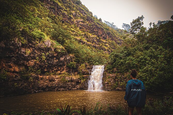Waterfall Hike in Hawai'i Rainforest Trail - Who should book this rainforest walk?