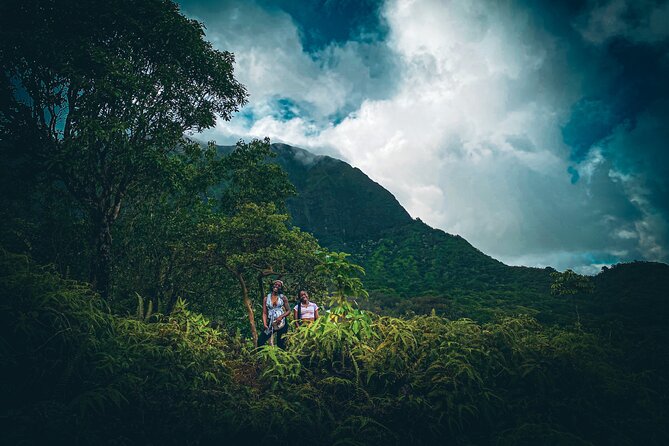 Waterfall Hike in Hawai'i Rainforest Trail - What the guide adds to the walk