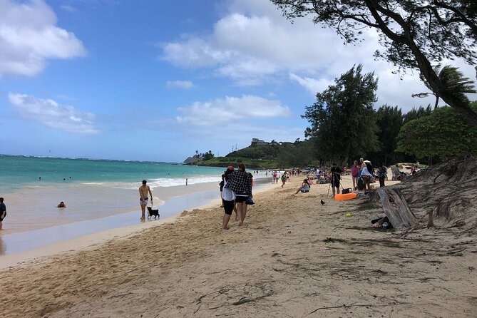 Waterfall Hike , Sightseeing & East Side Beach Day - Is $150 a fair price?