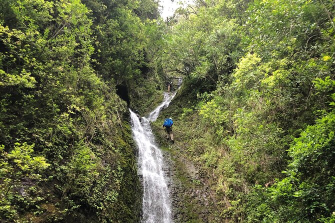 Waterfall Hike , Sightseeing & East Side Beach Day - What makes Manoa and Lalumha Falls different