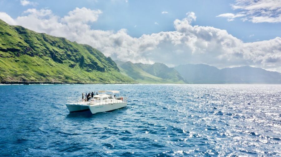 West O'ahu: Swim with Dolphins Catamaran Cruise - Key points to know before you book