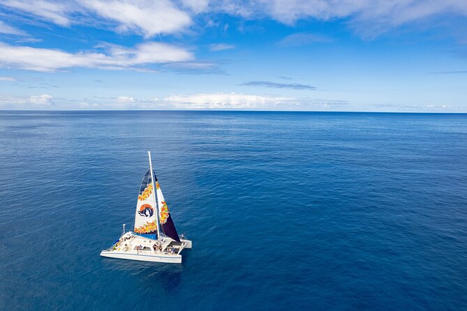 West Oahu Dolphin Watch and Snorkel Sail with Lunch - Watching spinner dolphins in the wild