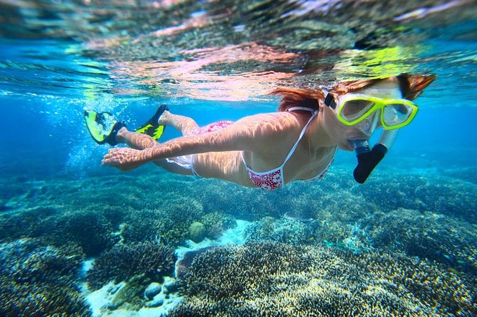 West Oahu Dolphin Watch and Snorkel Sail with Lunch - Breakfast, lunch, and the open bar