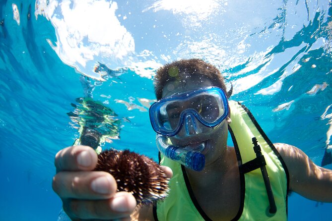 West Oahu Dolphin Watch and Snorkel Sail with Lunch - Practical details that affect your morning