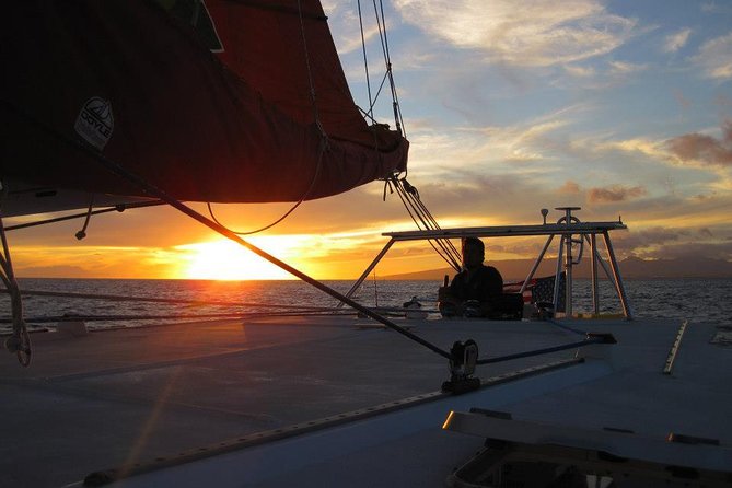 West Oahu Sunset Cocktail Cruise with Appetizers - Wildlife watching along the Waianae coast