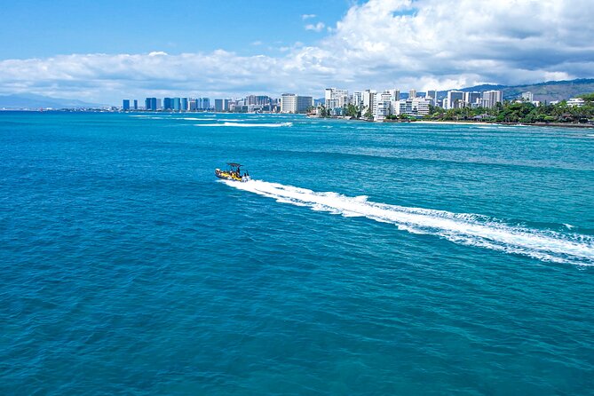 Whale Watching Adventure -Speed Boat & Small Group - Comfort, motion, and getting wet