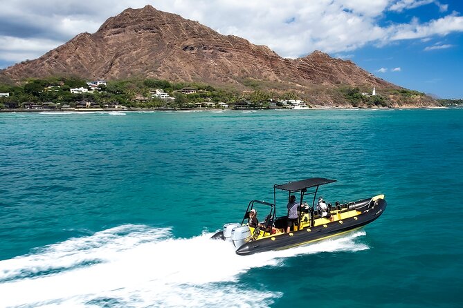Whale Watching Adventure -Speed Boat & Small Group - The crew makes the difference