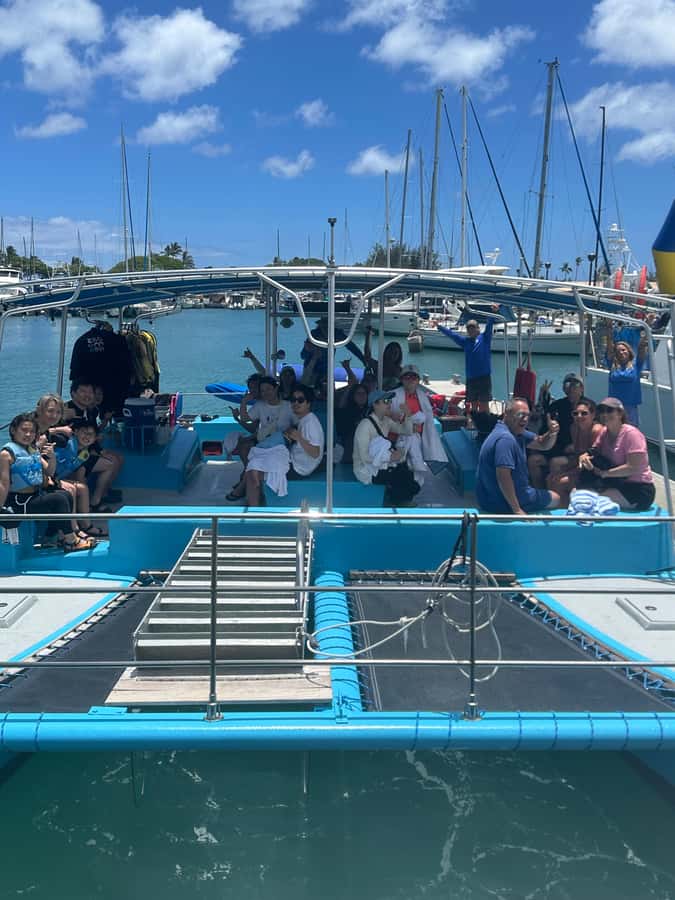 Whale Watching Cruise in Waikiki Oahu - SEE THE HUMPBACKS! - Practical ways to improve your odds of a good day